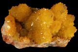 Sunshine Cactus Quartz Crystal - South Africa #98383-1
